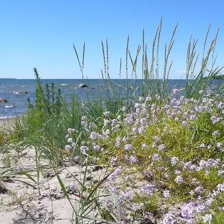 Tiny Cozy House Pärispea