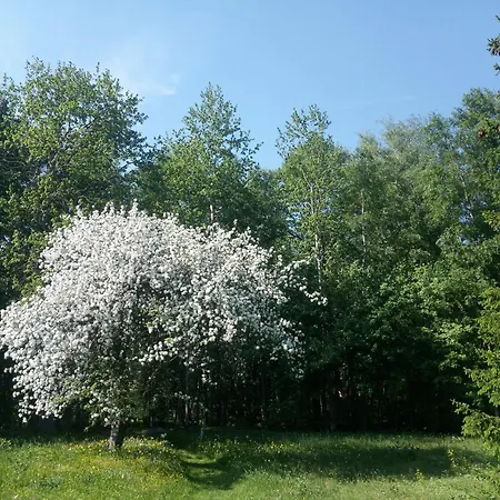 Tiny Cozy House Semesterbostad