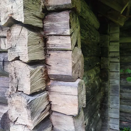 Dom wakacyjny Tiny Cozy House Pärispea