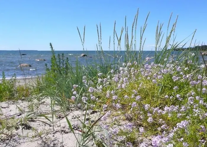 Tiny Cozy House Pärispea