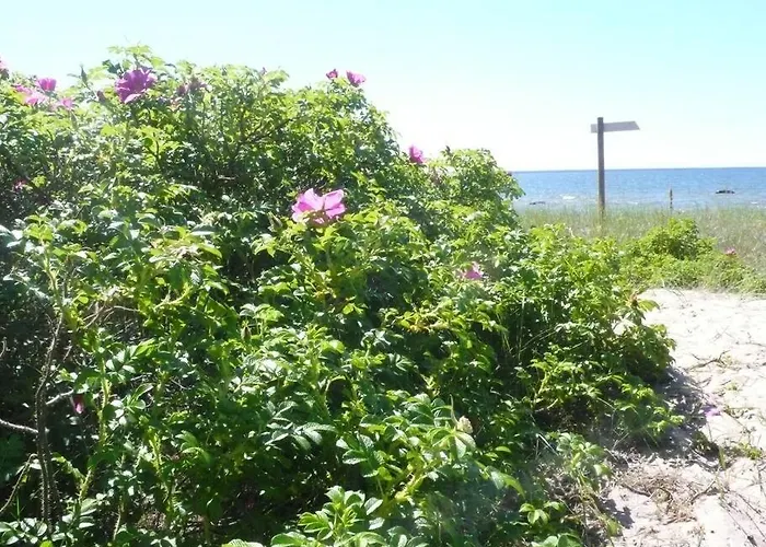 Сasa de vacaciones Tiny Cozy House Pärispea