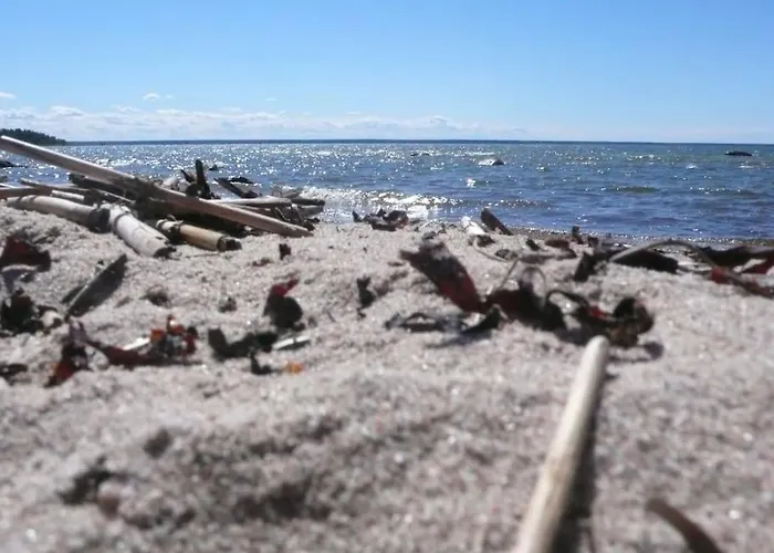Tiny Cozy House Semesterbostad Pärispea