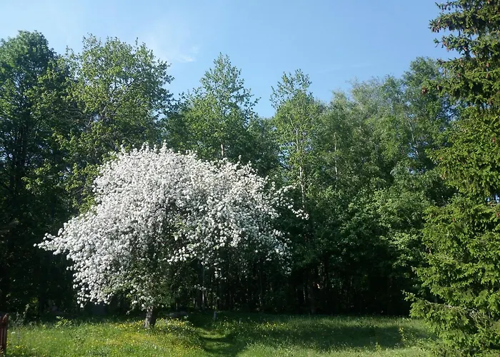 Tiny Cozy House Сasa de vacaciones