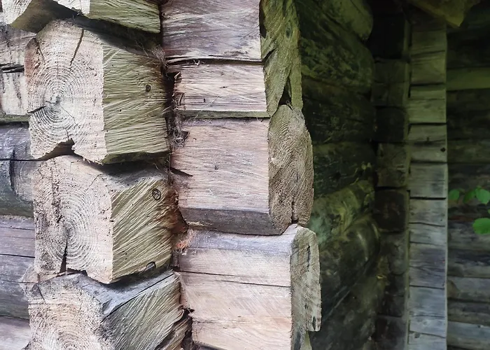 Сasa de vacaciones Tiny Cozy House Pärispea